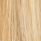 Highlighted Blonde #100