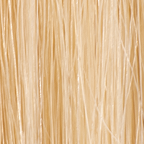 Ash Blonde #24